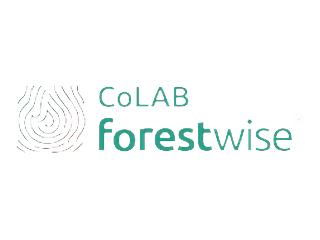 Logótipo ForestWise