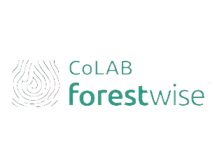 Logótipo ForestWise